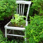 i Trädgården - odling på stol, mossa, daggkåpa