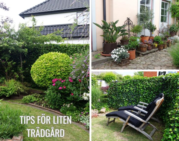 Tips för liten trädgård
