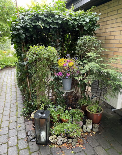 Dekoration i trädgården
